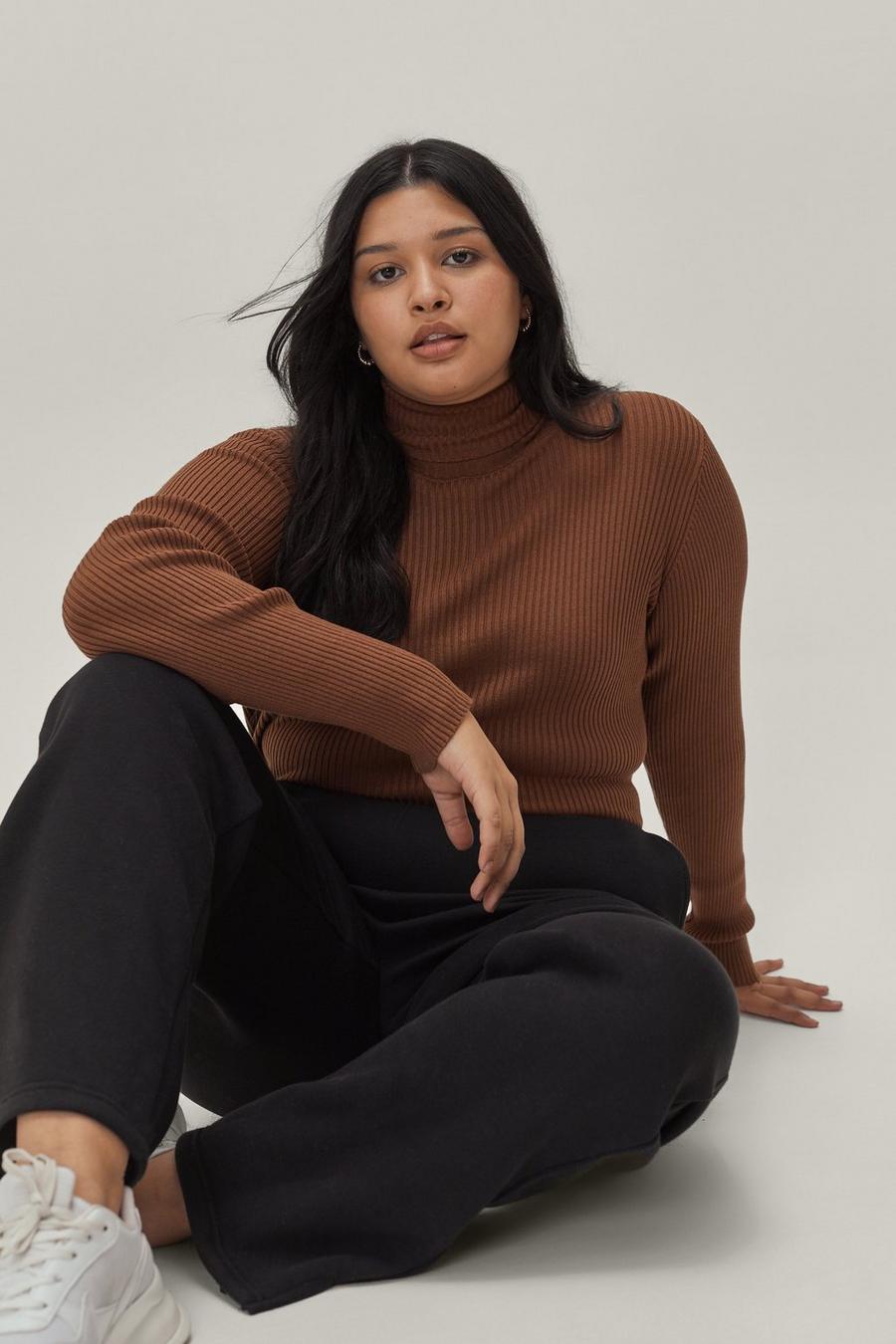 Plus Size Roll Neck Knit Top
