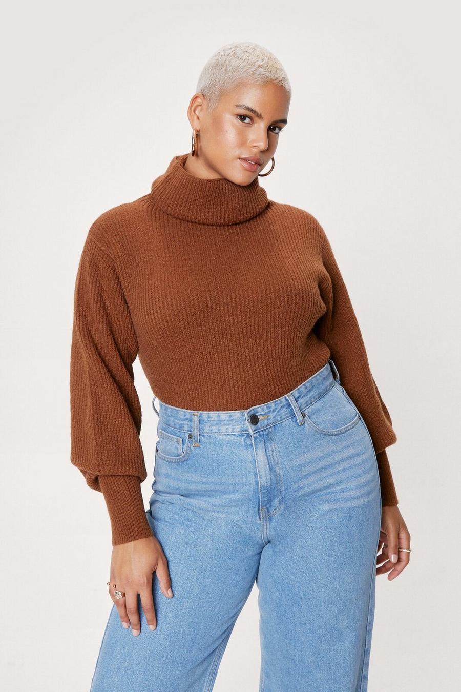 Plus Size Roll Neck Loose Fit Jumper