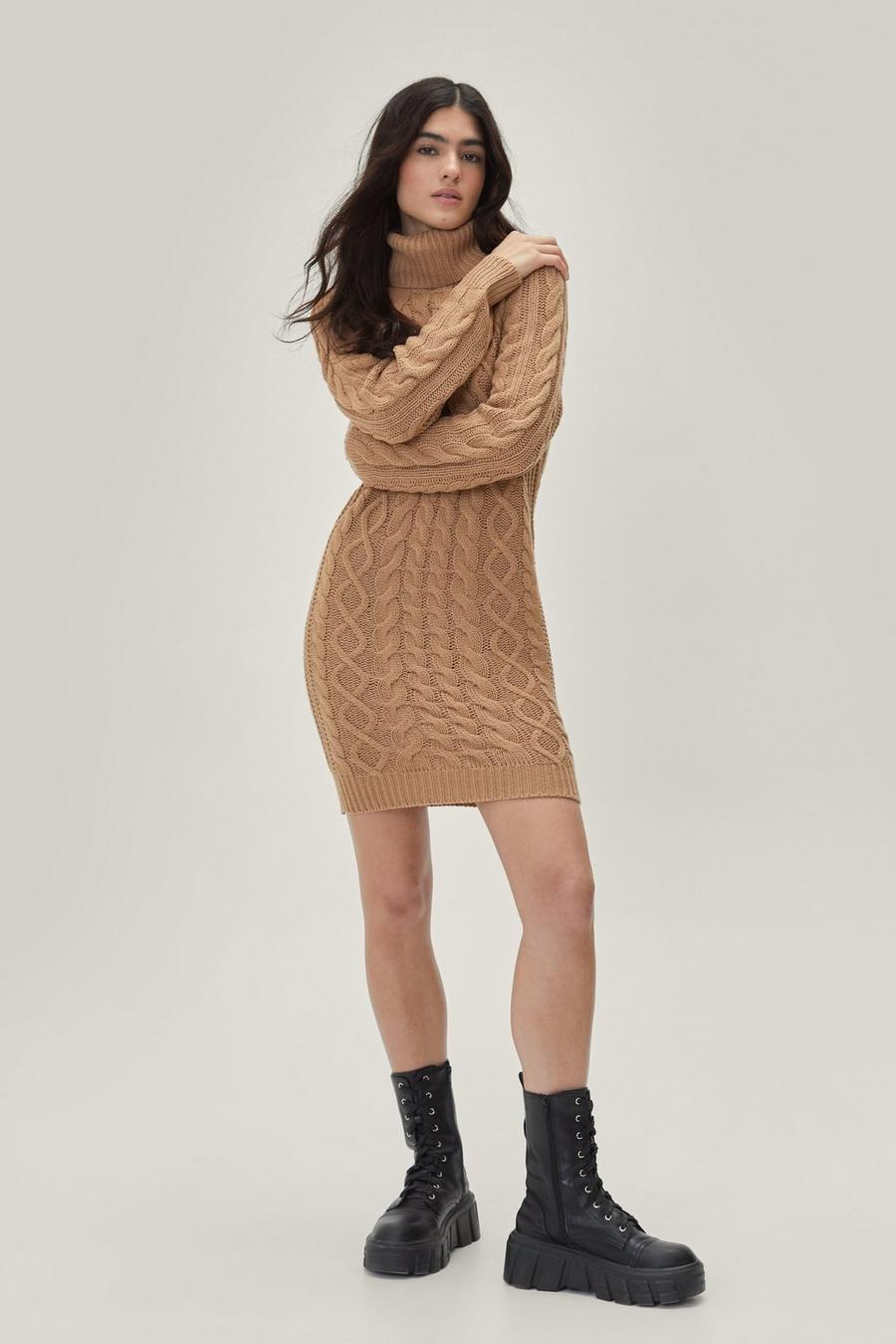 Bodycon Cable Knit Roll Neck Sweater Dress