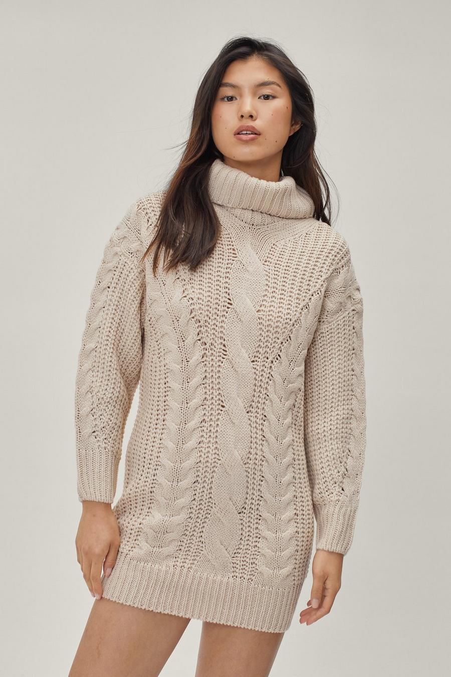 Cable Knit Roll Neck Mini Dress