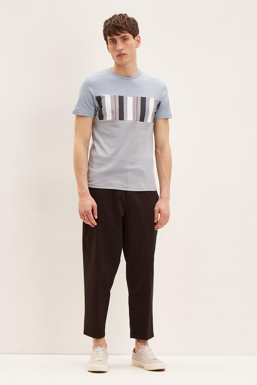 106  Slim Fit Stripe Colour block T-shirt image number 2