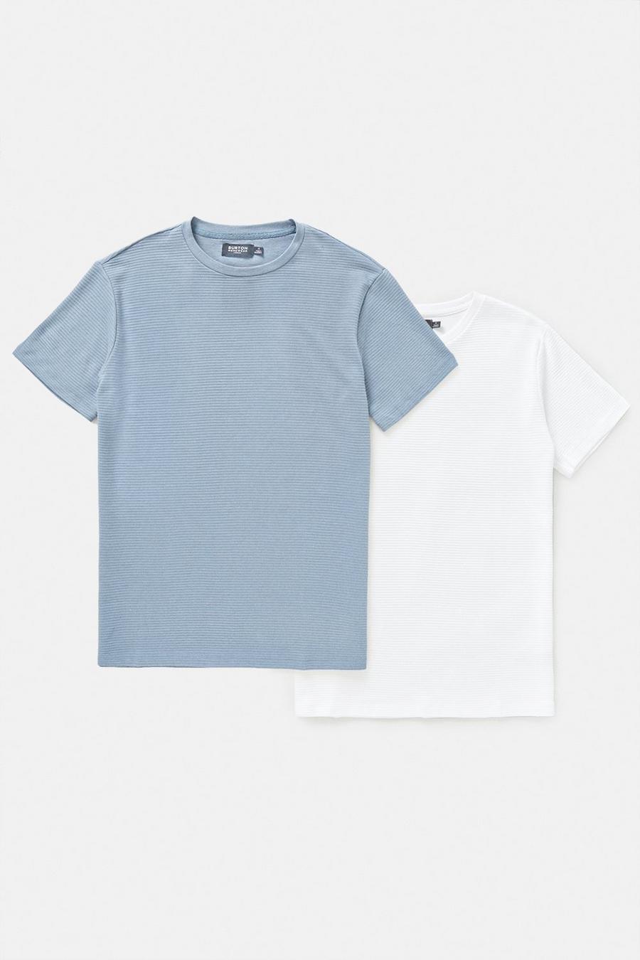 2 Pack White And Blue Textured T-shirt