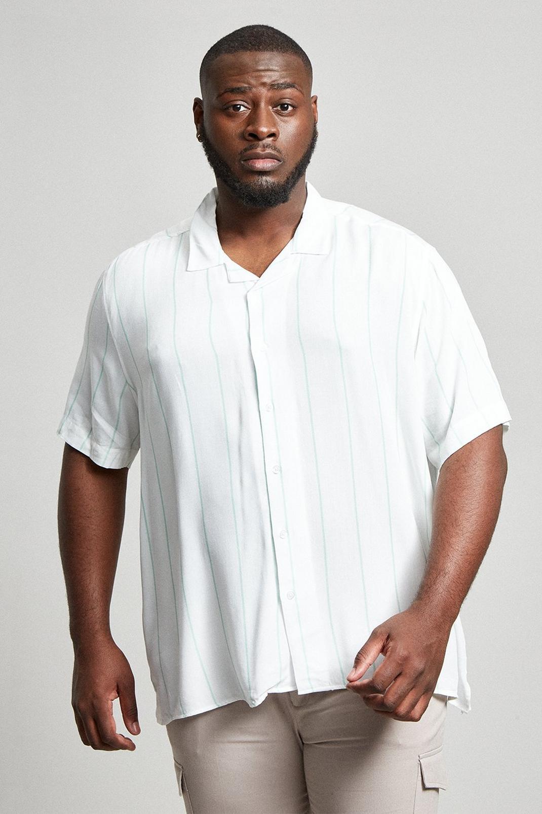 Plus And Tall Off White Stripe Shirt 1 image number 1