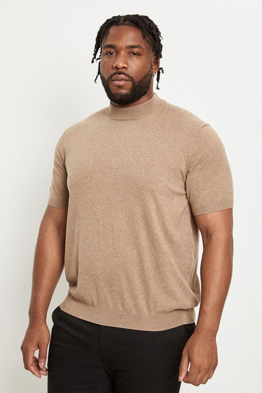 Plus And Tall Stone Short Sleeve Knit Turtle image number 1