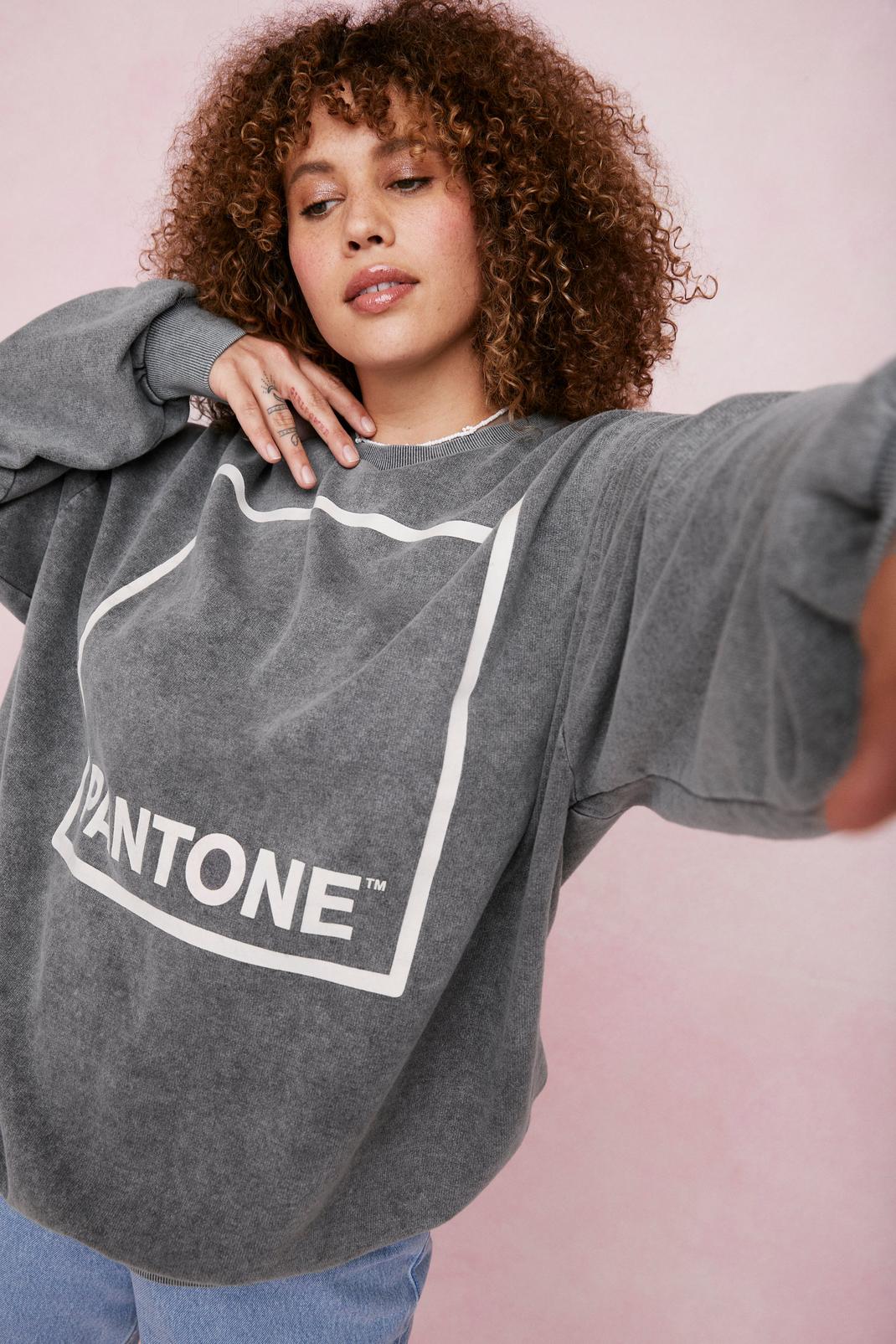 Grey Pantone Graphic Sweatshirt image number 1