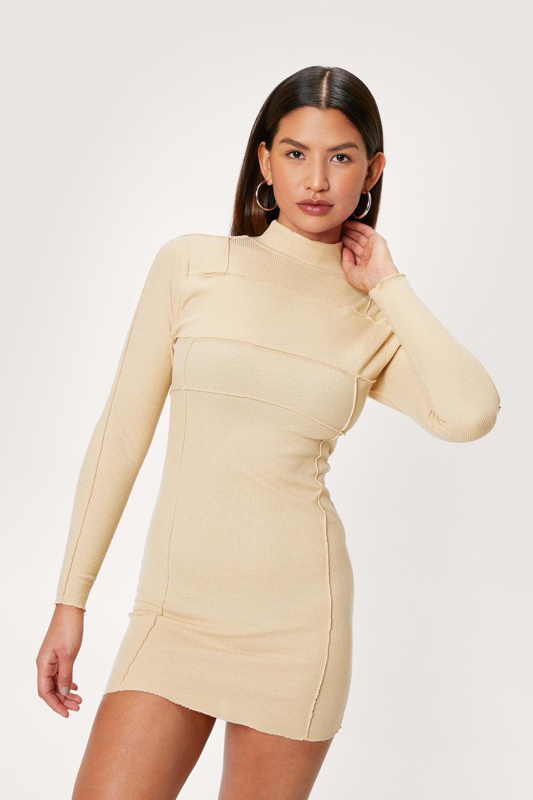 Stone Ribbed High Neck Bodycon Mini Dress image number 1