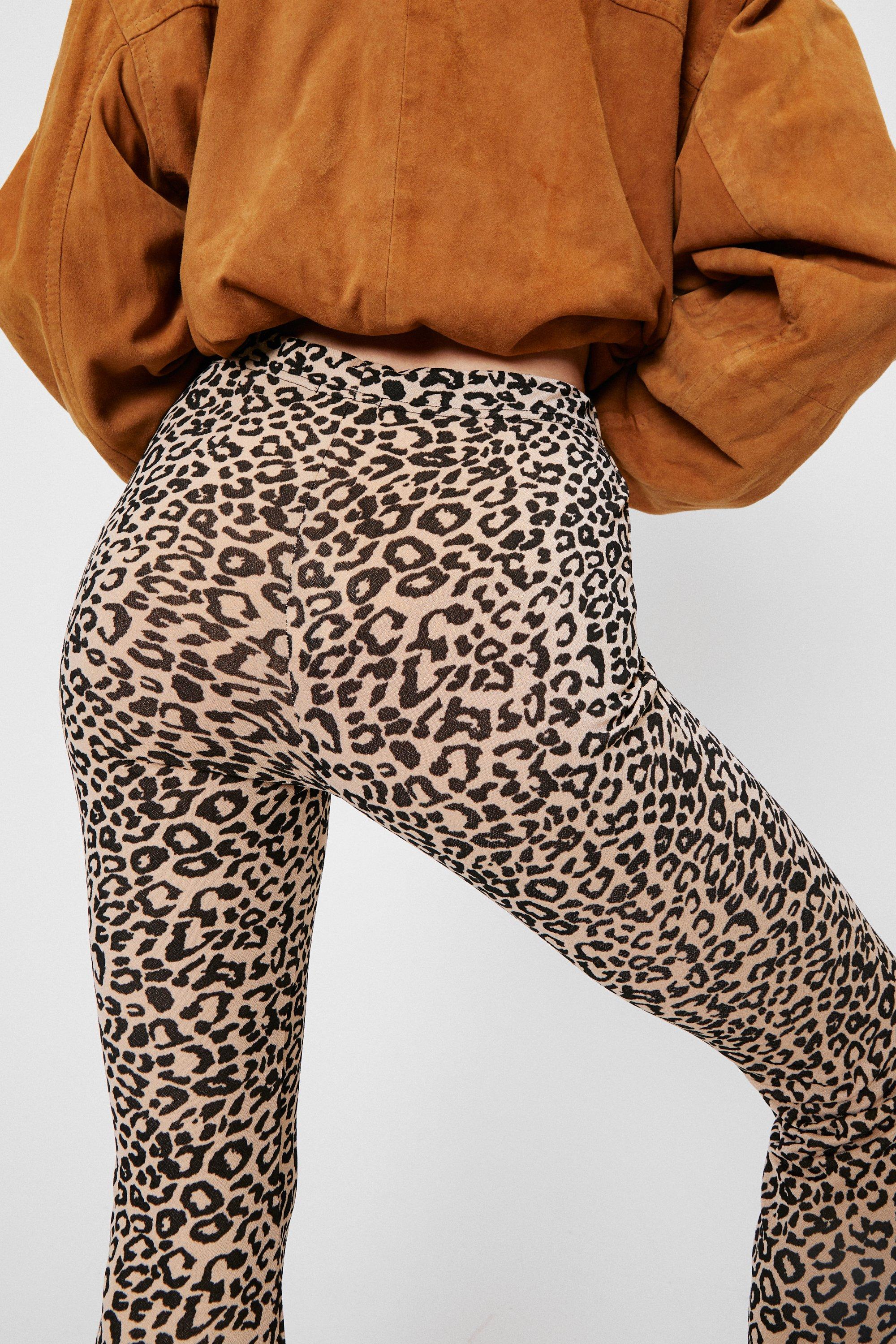 High Waisted Leopard Print Flare Pants