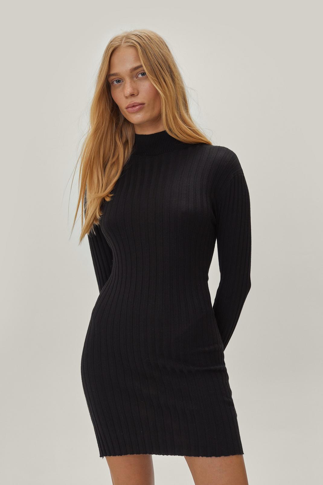 Black Petite Recycled Turtleneck Knitted Dress image number 1