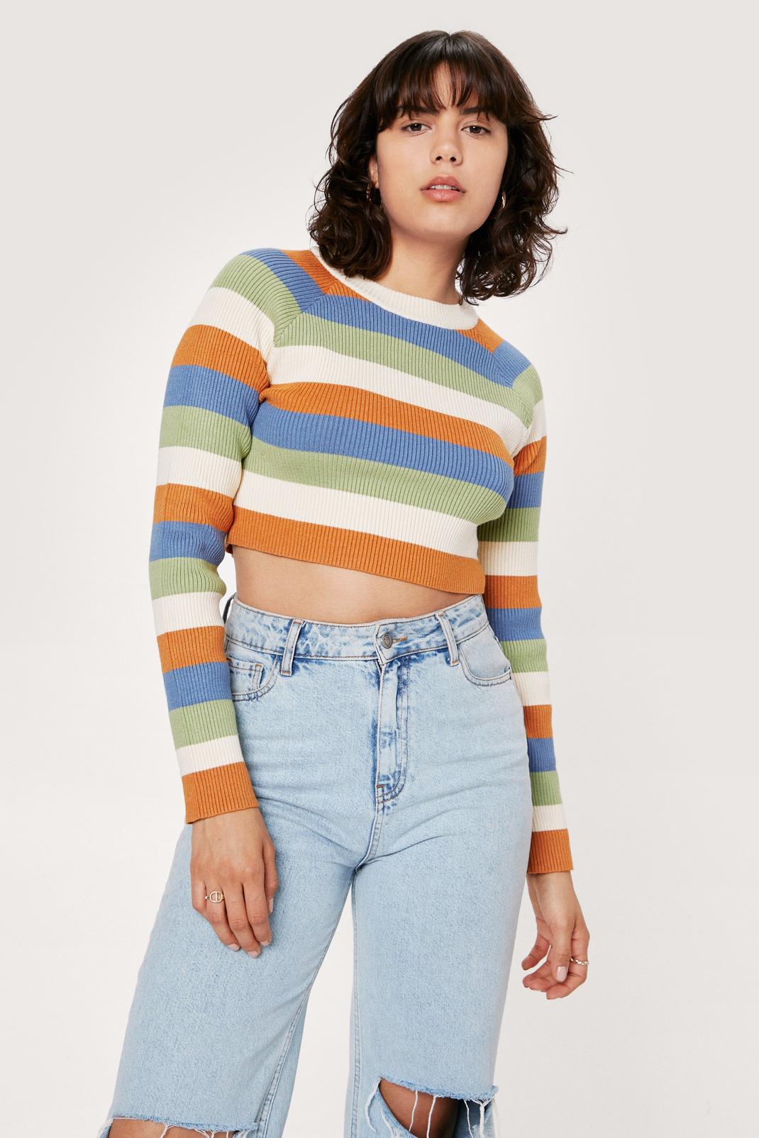 Stone Striped Color Block Knitted Long Sleeve Top image number 1