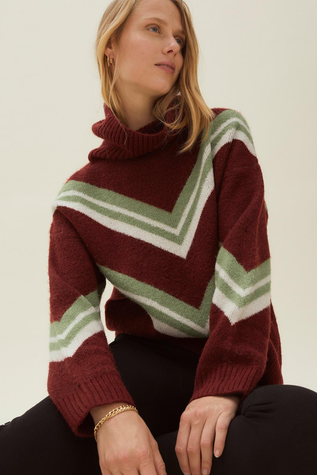 Burgundy Stripe Soft Knit Roll Neck Sweater image number 1