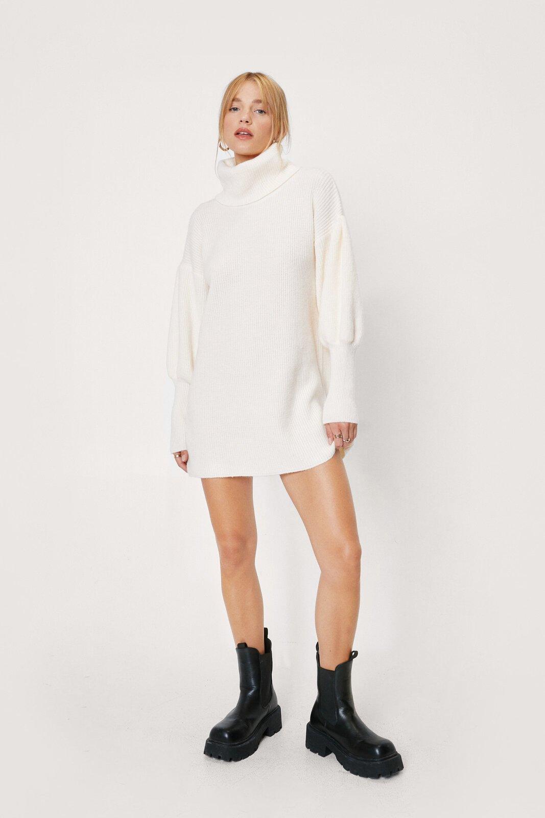 Petite roll clearance neck jumper dress