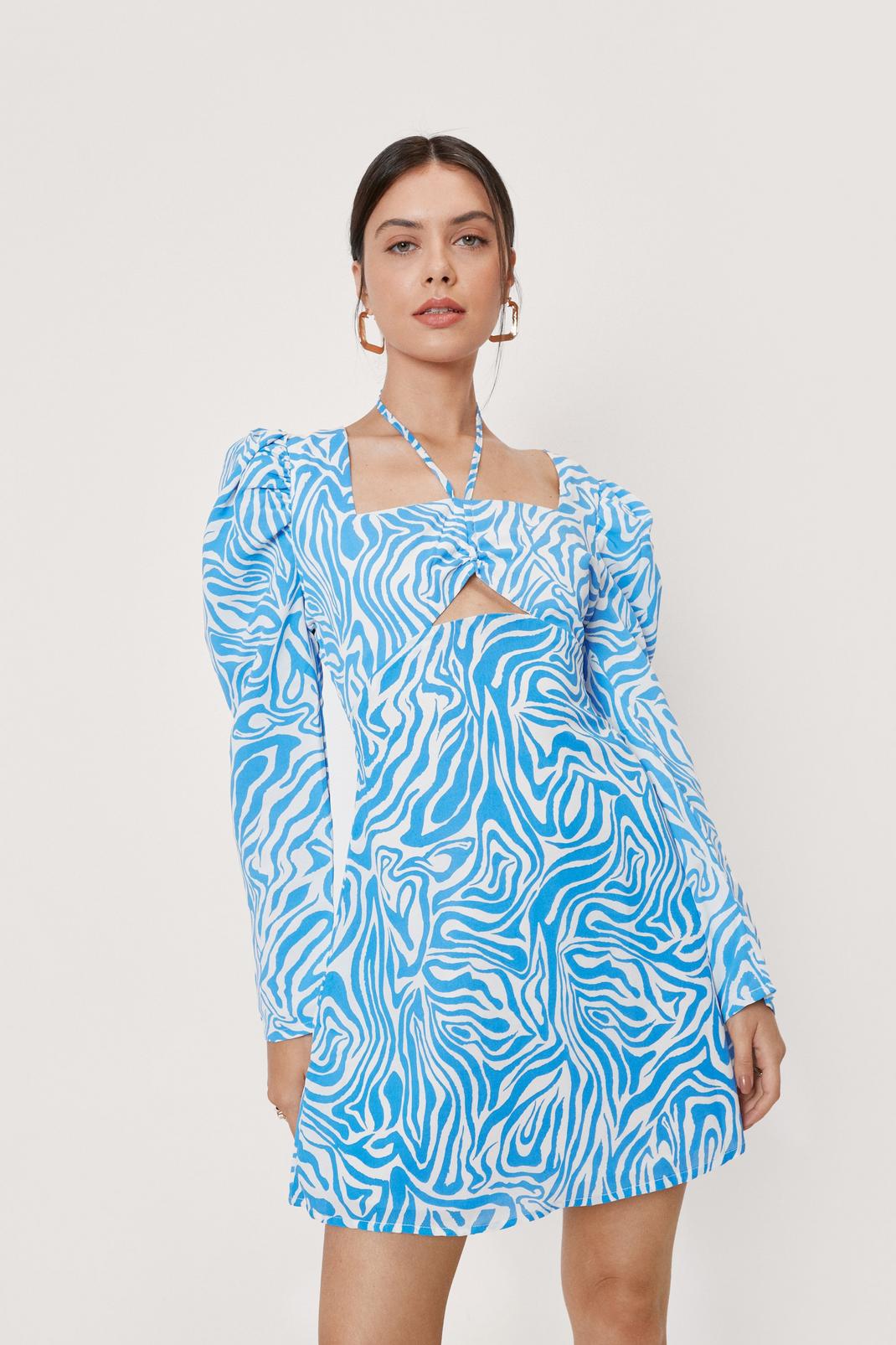 Blue Zebra Long Sleeve Ruche Detail Tea Dress image number 1