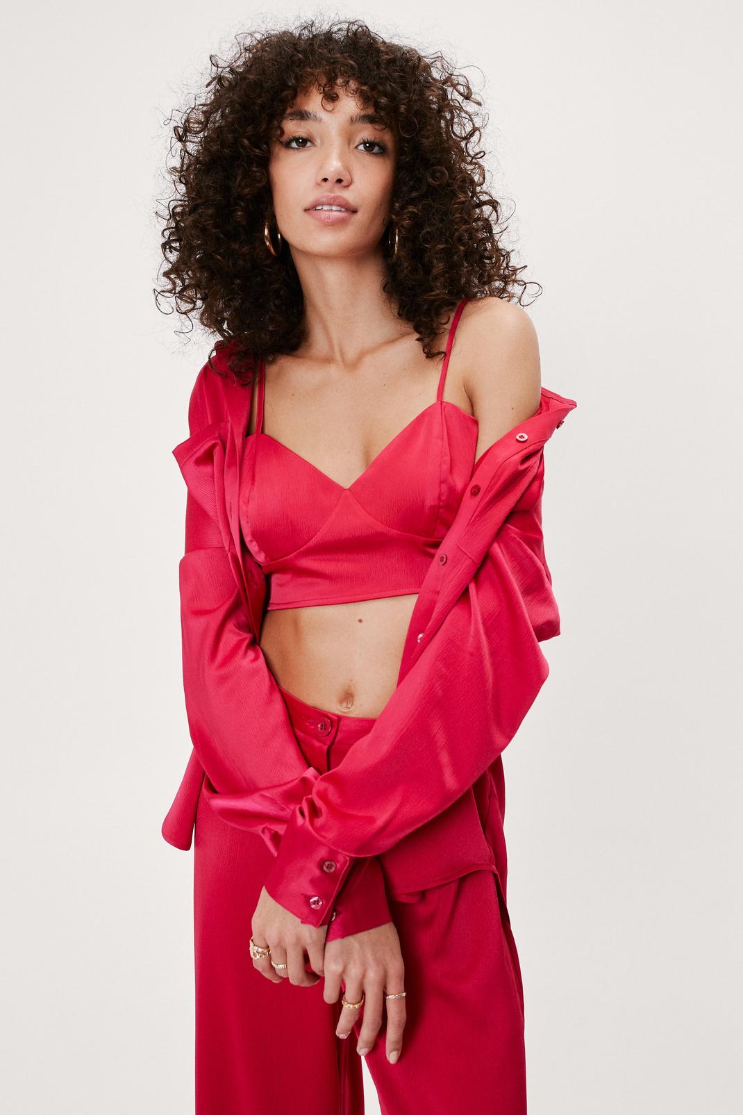 Berry Satin V Neck Cupped Cropped Bralette image number 1