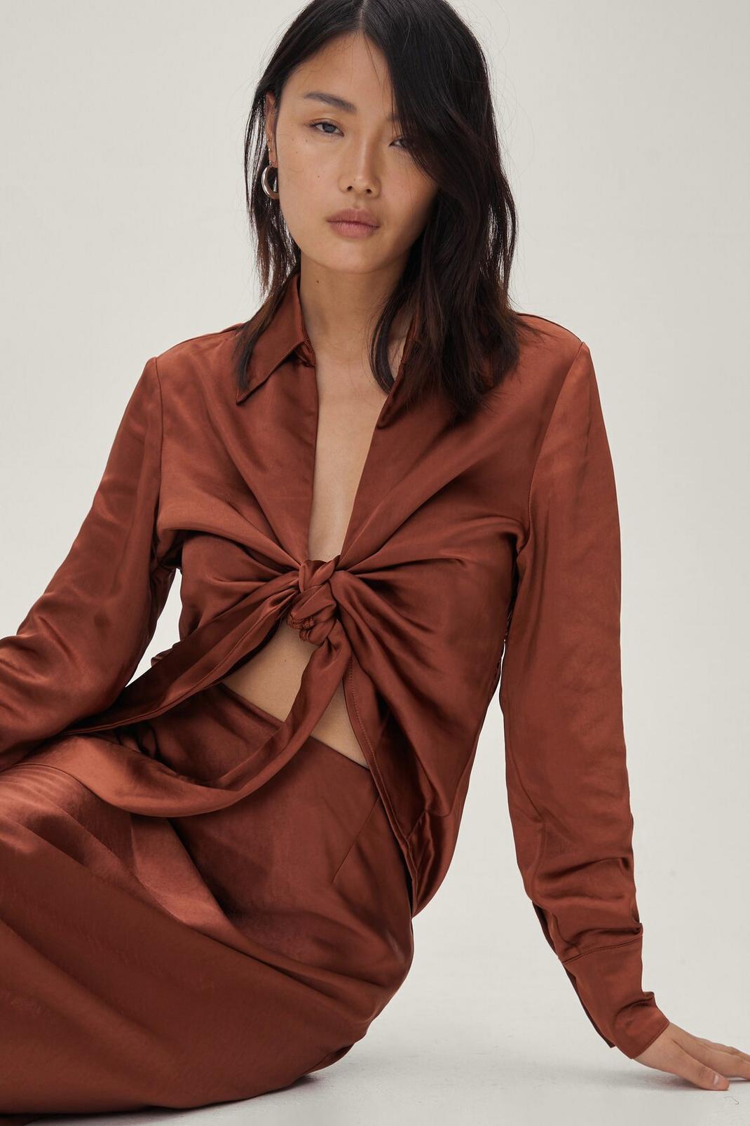 Rust Satin Tie Front Plunging Collared Shirt image number 1