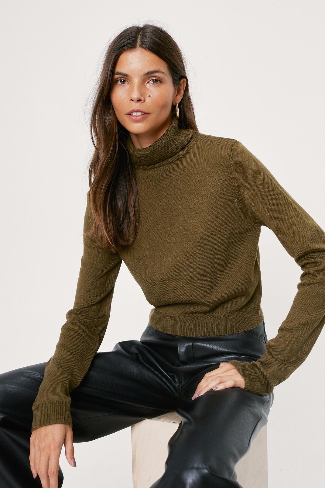 Khaki Ribbed Long Sleeve Roll Kneck Sweater image number 1