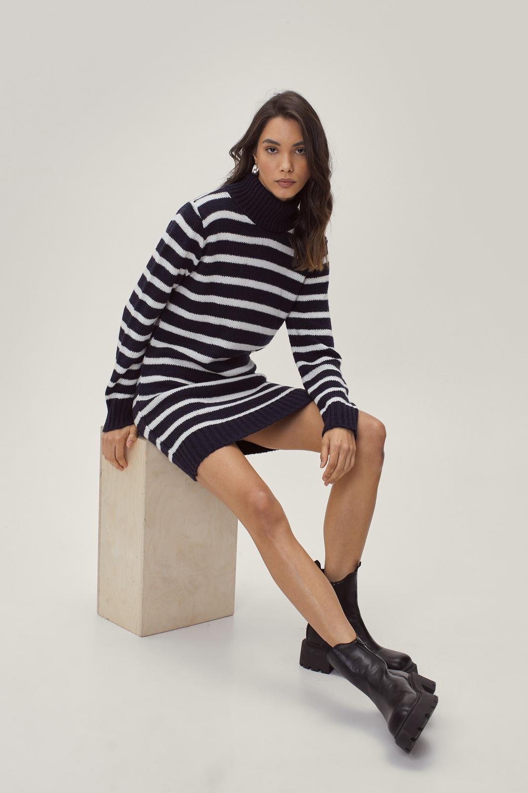 Navy Knitted Stripe Roll Neck Mini Sweater Dress image number 1