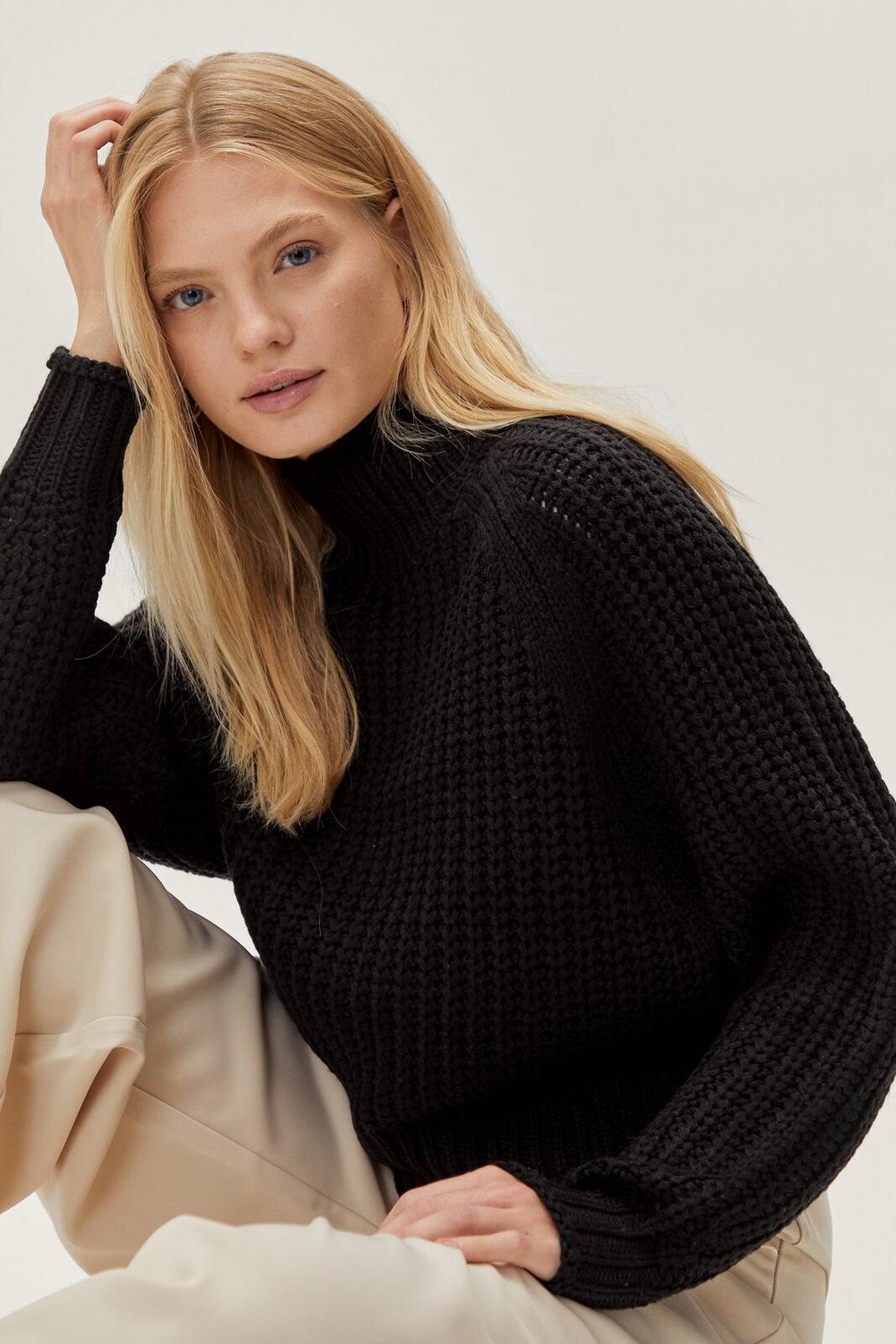 Black Chunky Knit Roll Neck Sweater image number 1