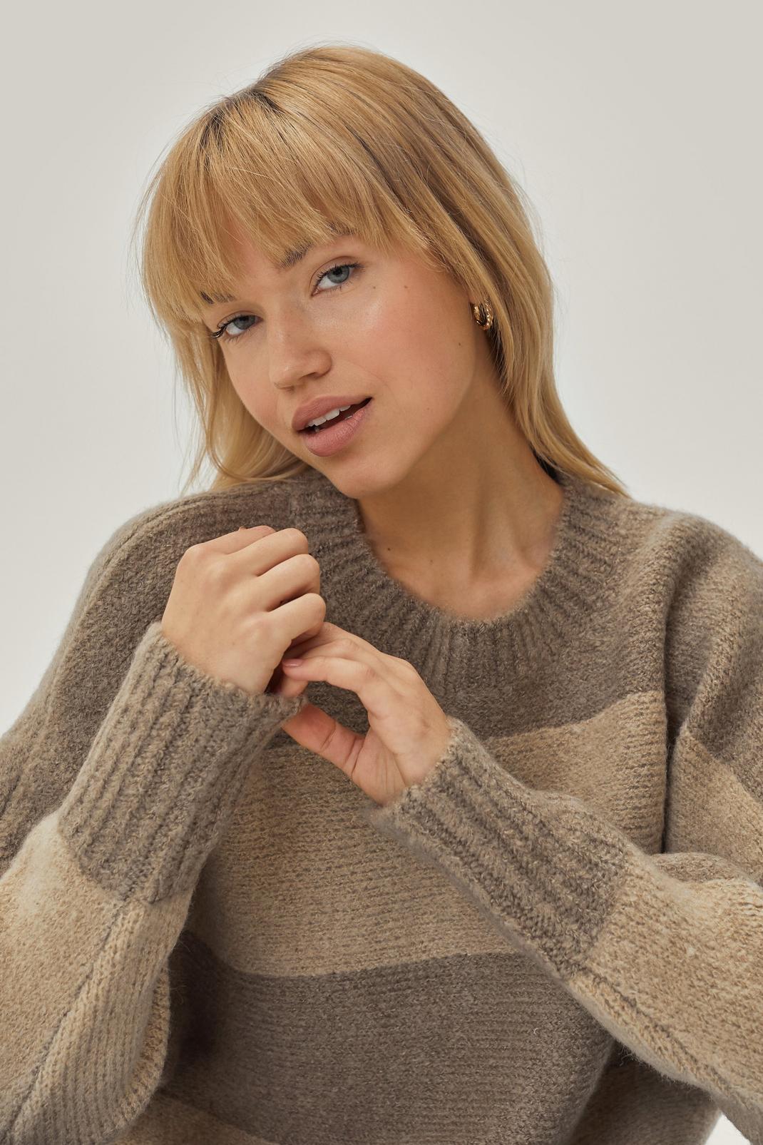 Brown Tonal Oversized Striped Crew Neck Sweater image number 1