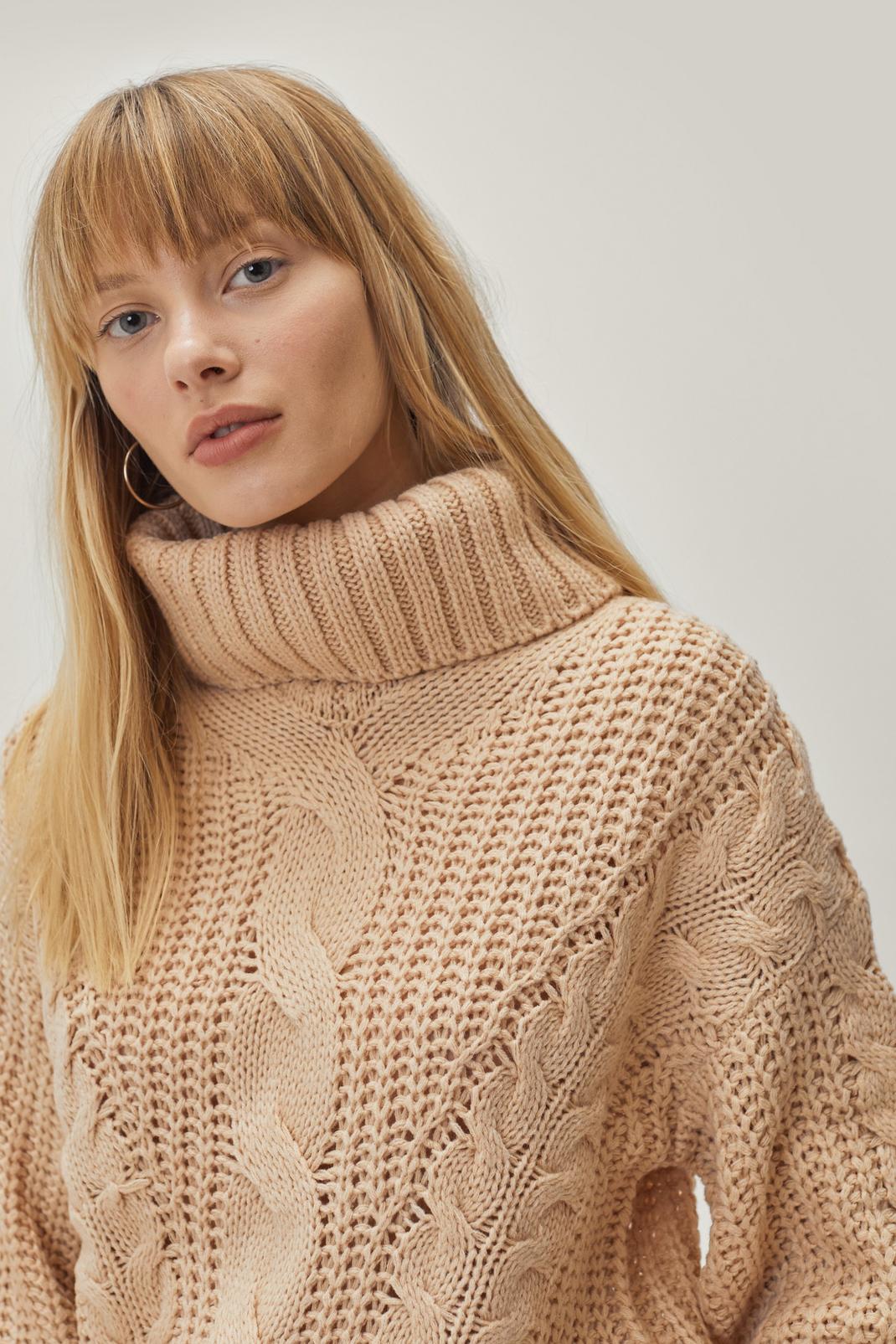 Biscuit Oversized Knitted Roll Neck Cable Jumper image number 1