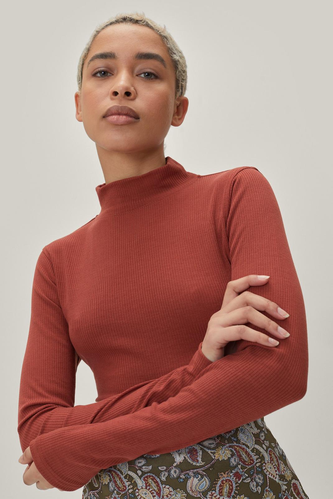 Rust Ribbed Polo Neck Top image number 1