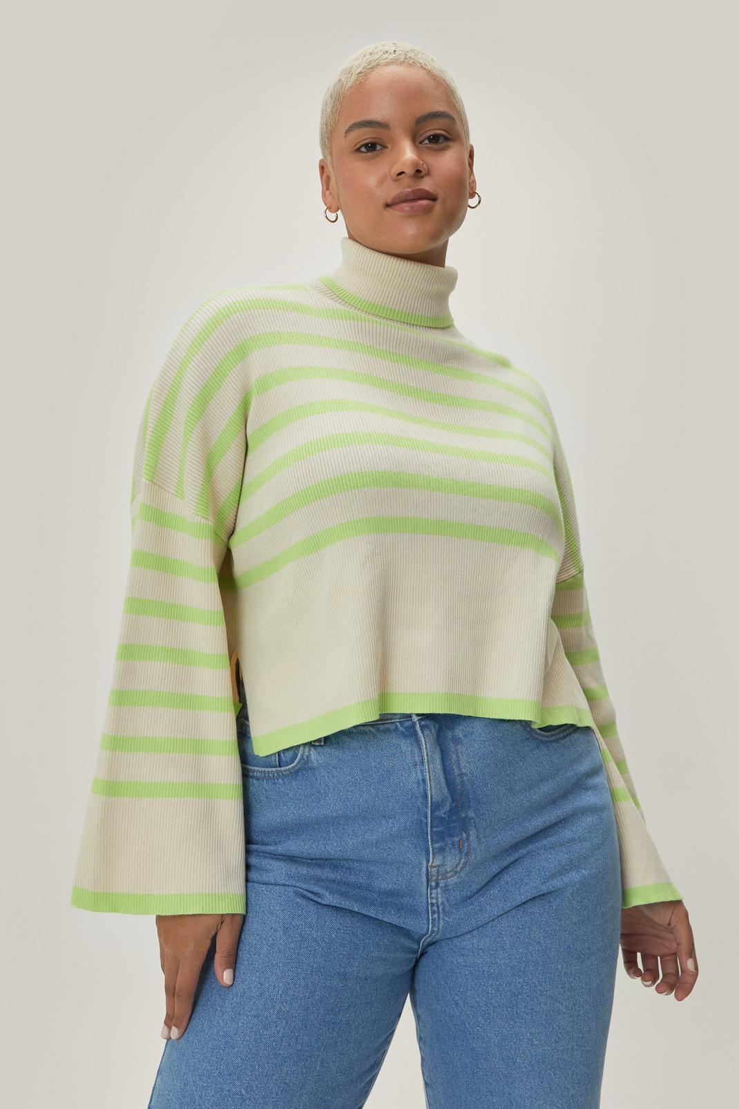 123 Plus Size Roll Neck Stripe Print Sweater image number 2