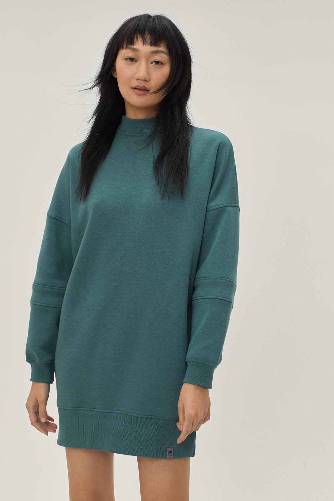 Teal Seam Detail Relaxed Fit Sweater Dress image number 1