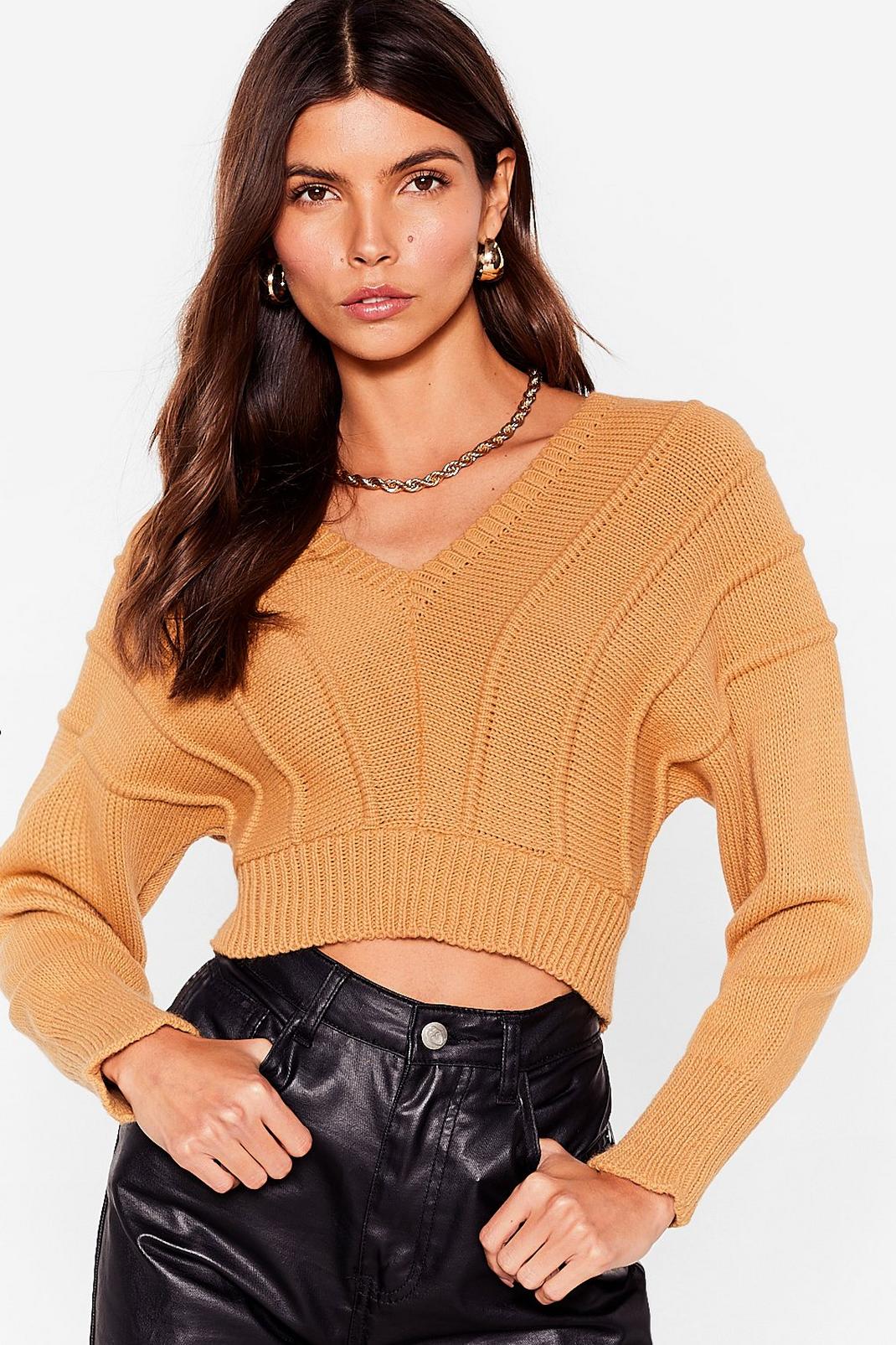 Camel Never Seam Anything Like Knit Cropped Jumper image number 1