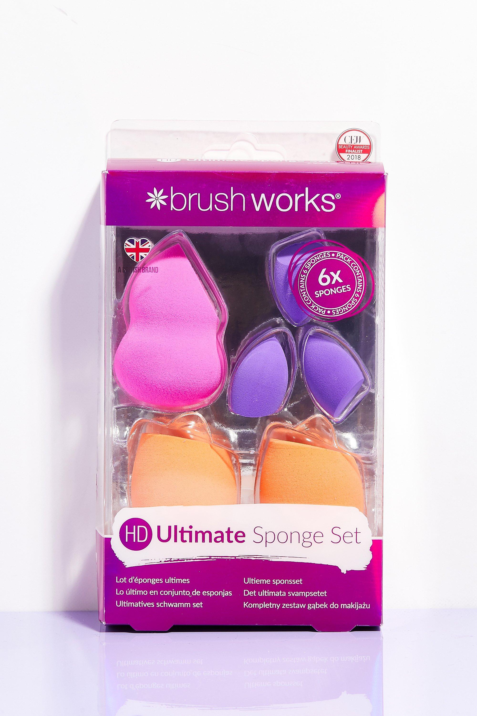Brush Works Ultimate Sponge Set