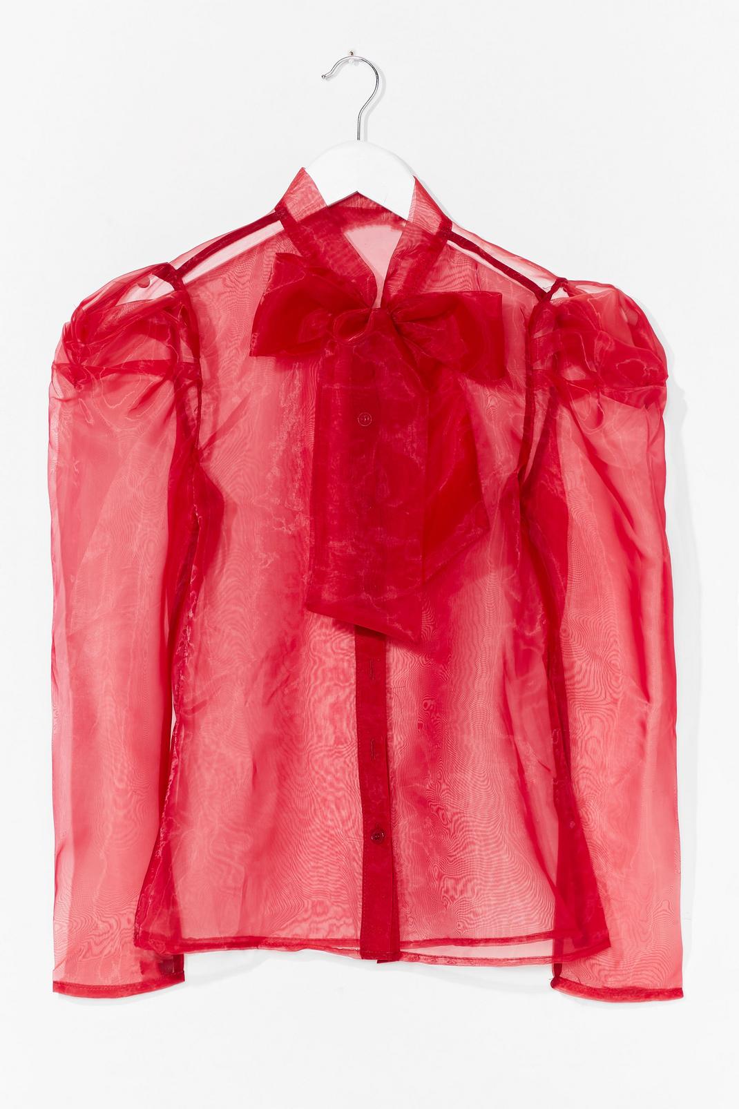 Bow 'Em How It's Done Organza Blouse image number 1