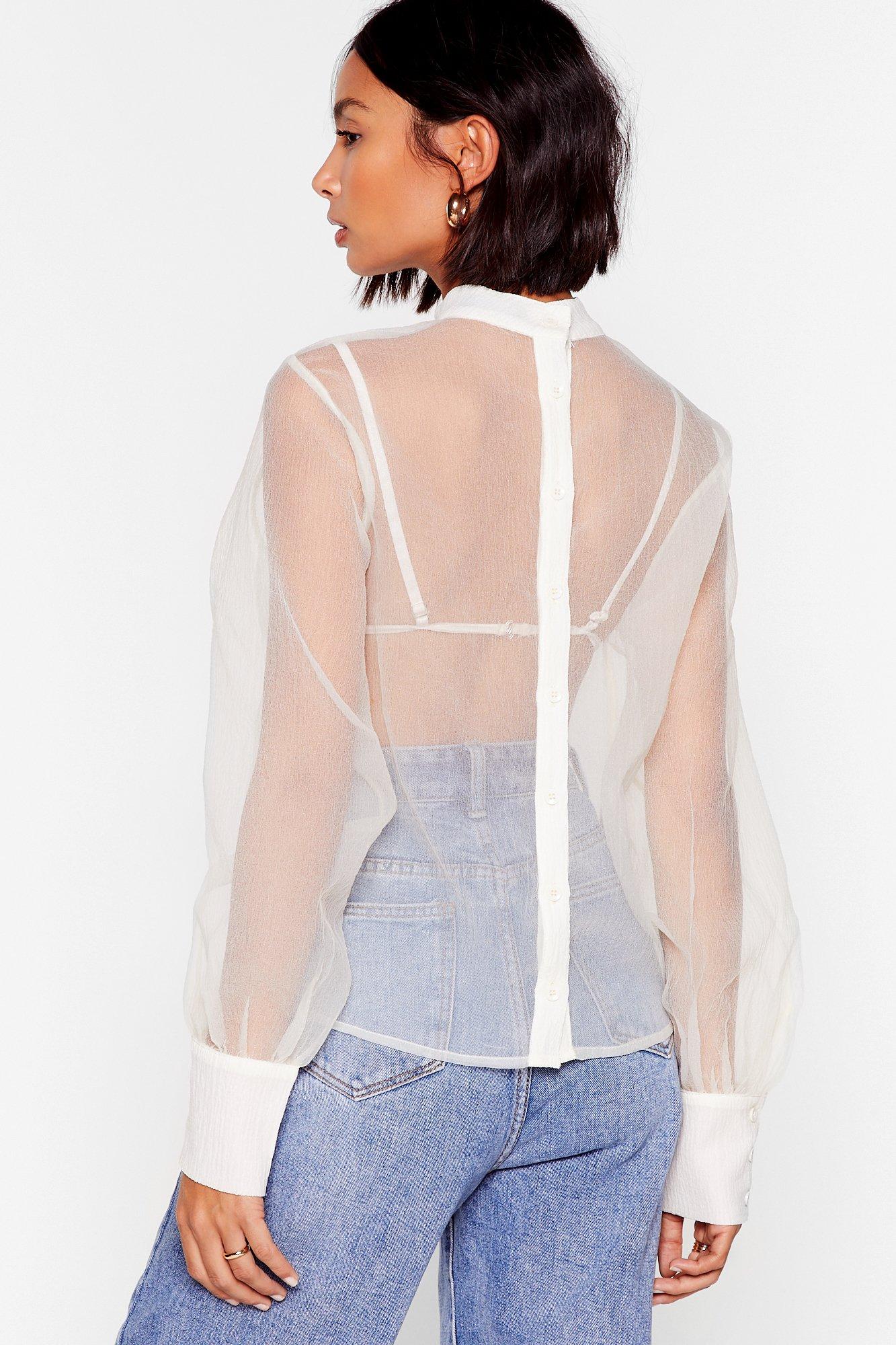 Shimmy Over Sheer Organza High Neck Blouse