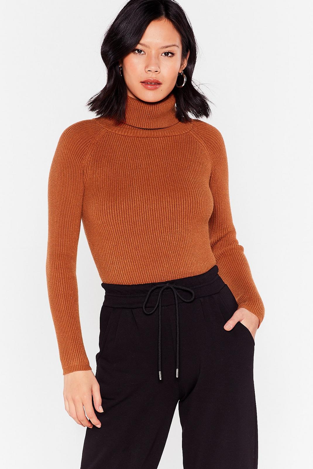 Chocolate Soft Ribbed Knit Turtleneck Sweater image number 1
