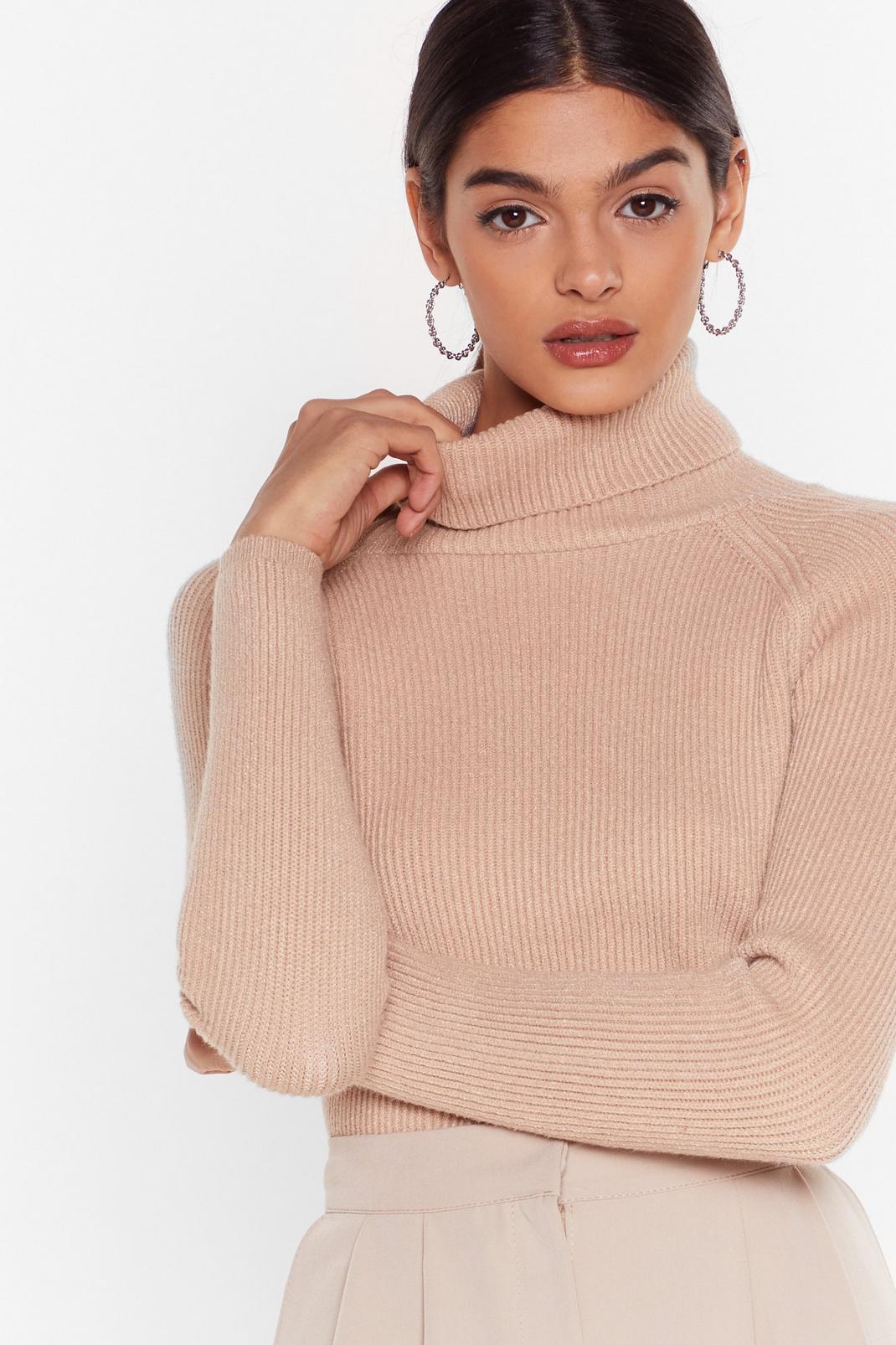 Taupe Soft Ribbed Knit Turtleneck Sweater image number 1
