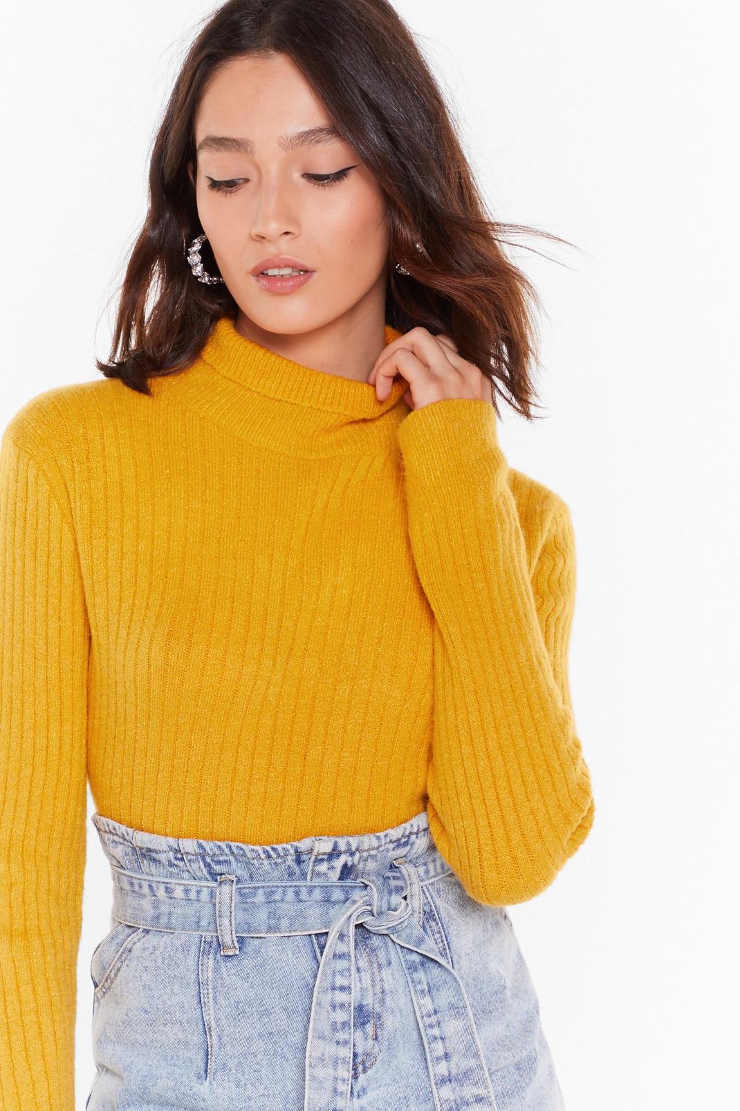 Mustard Knit Was Worth Knit Ribbed High Neck Sweater image number 1