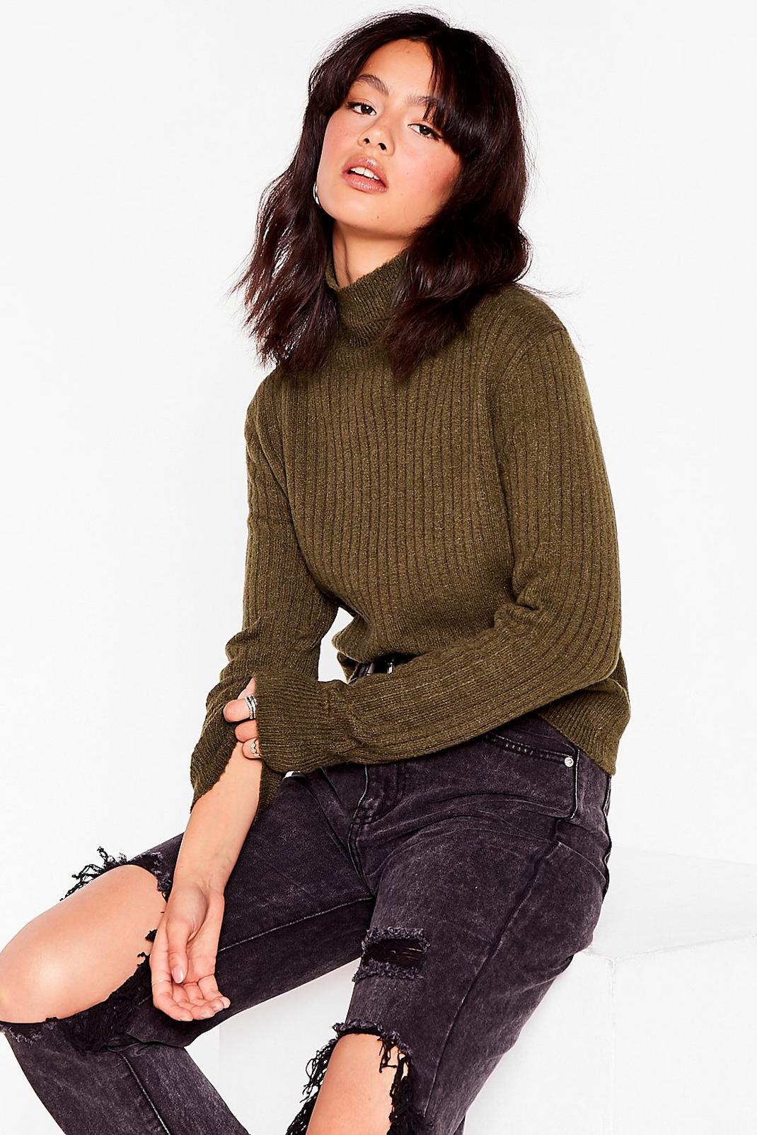 Olive Knit Was Worth Knit Ribbed High Neck Sweater image number 1