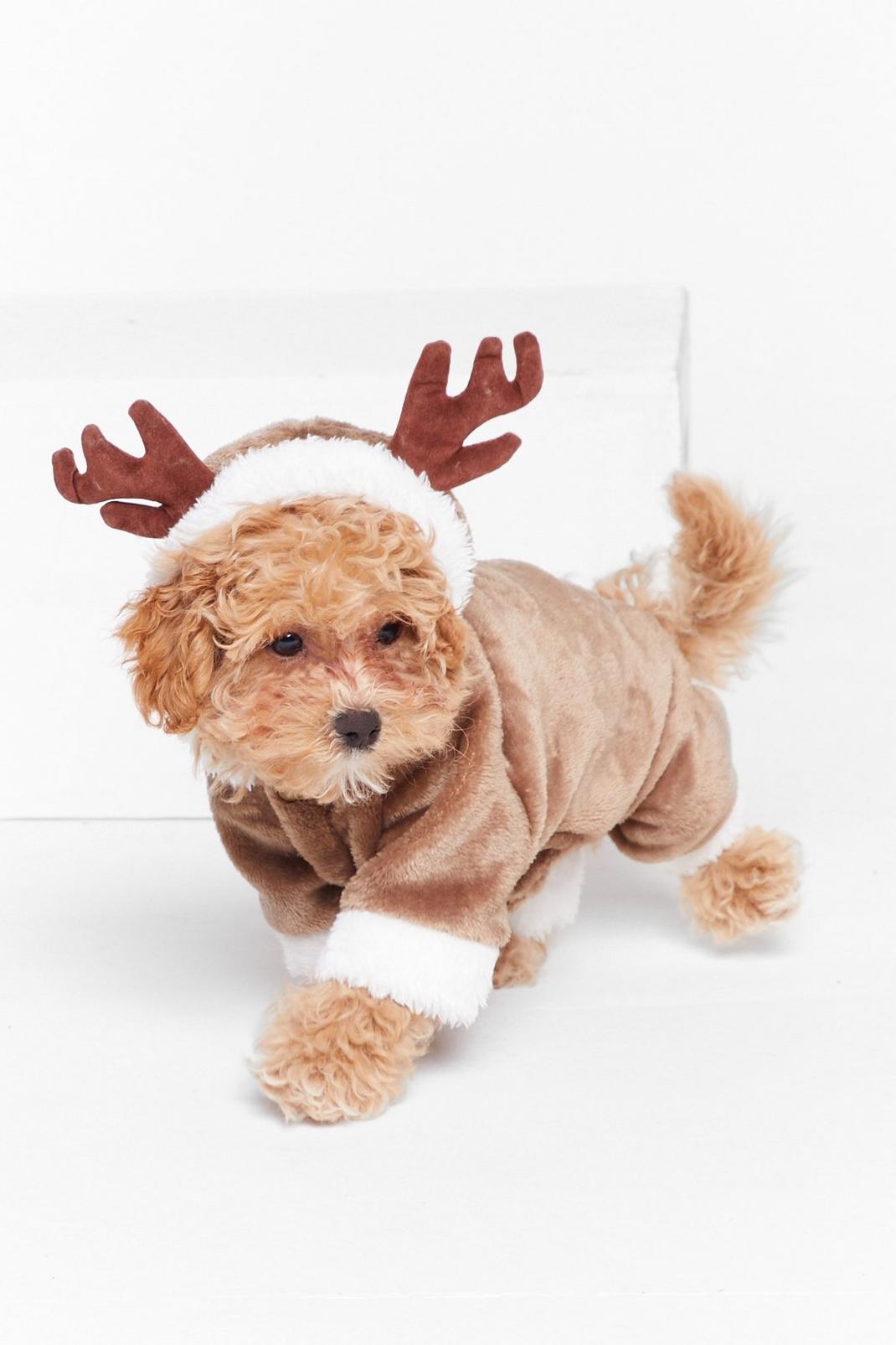 Brown Came to Sleigh Reindeer Dog Costume image number 1