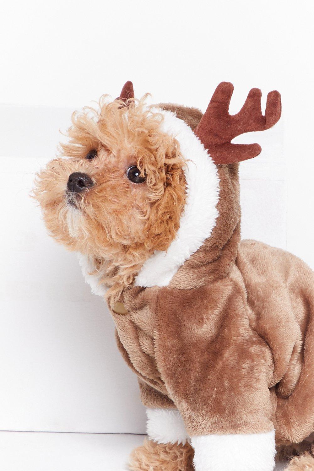 Reindeer on sale outfit dog