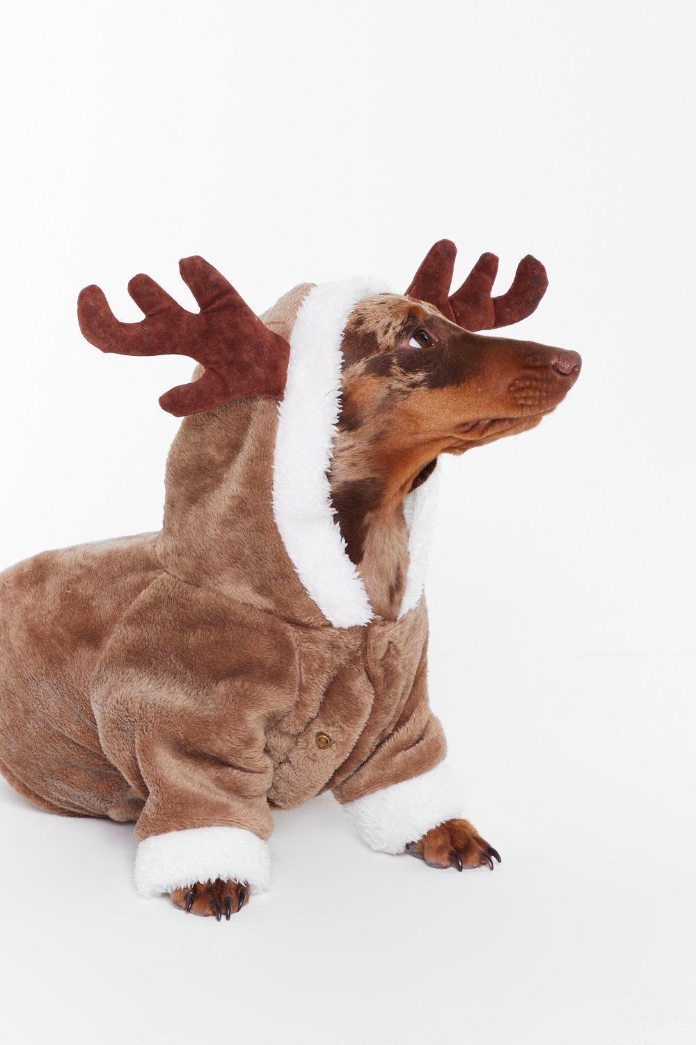 Habit de noel pour chien hot sale