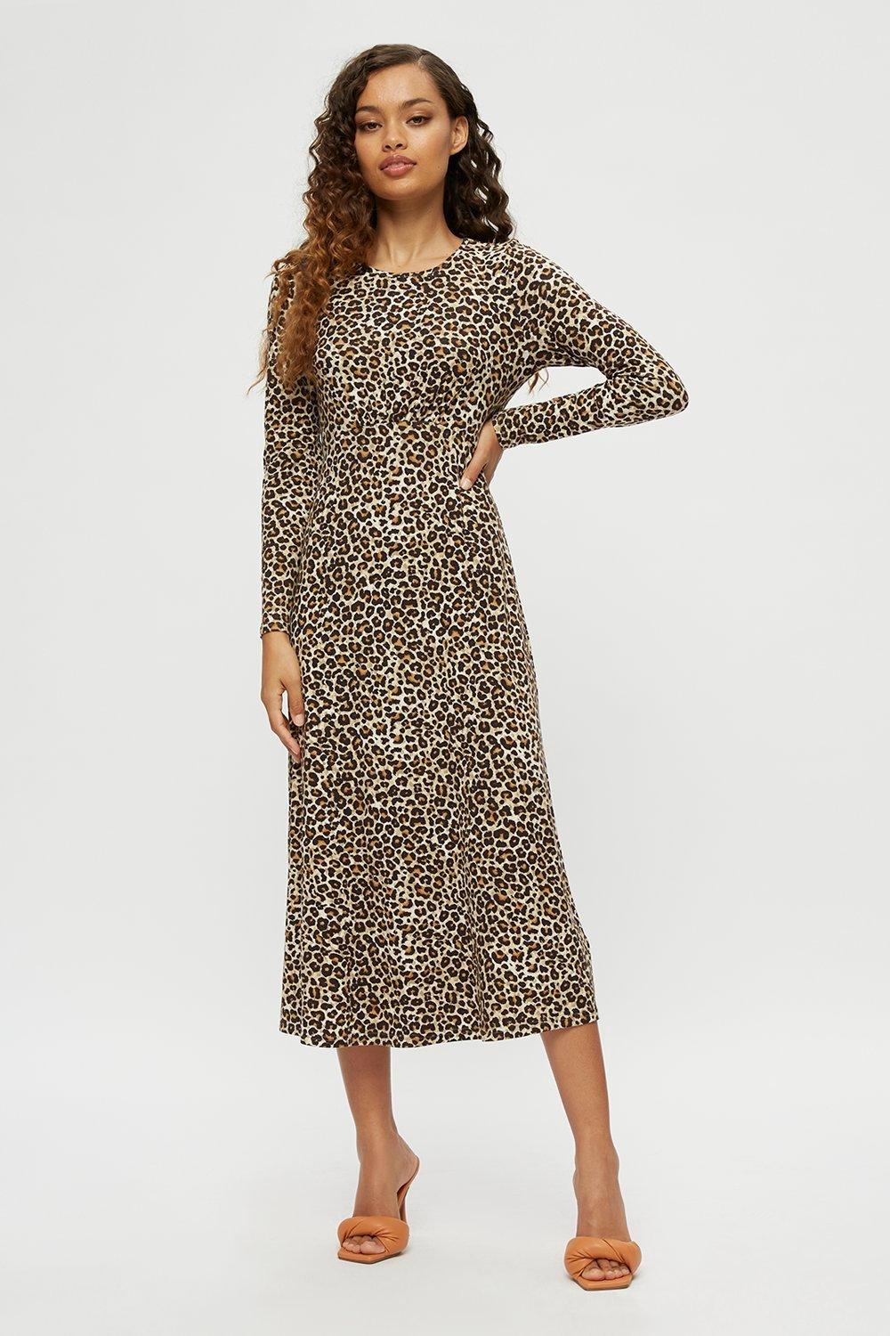 dorothy perkins leopard