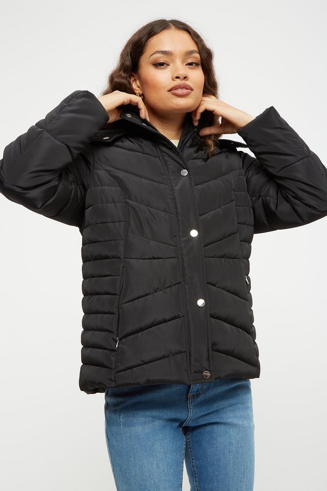 105 Petite Quilted Short Padded Jacket image number 2