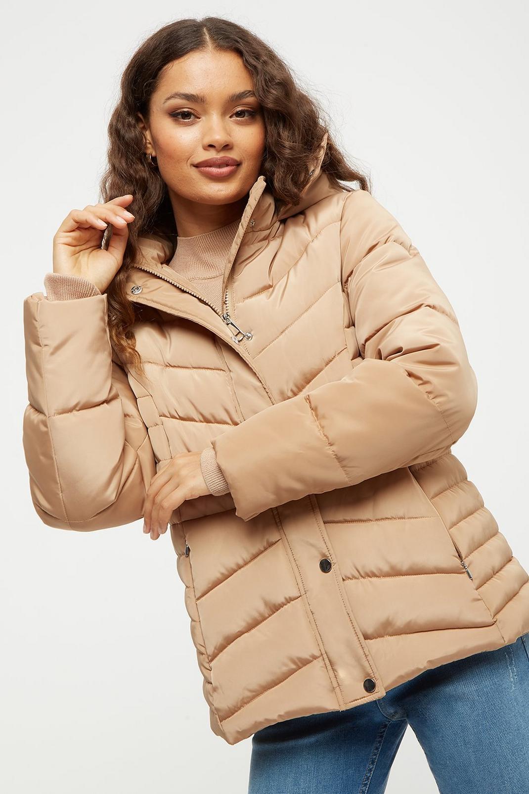 111 Petite Quilted Short Padded Jacket image number 1