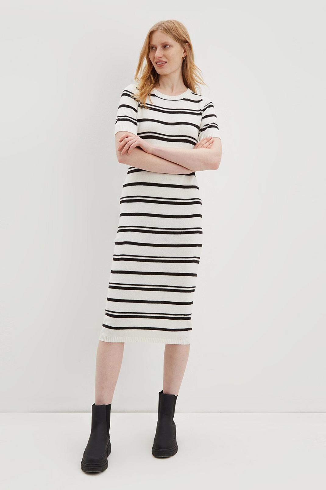 Mono Multi Stripe Short Sleeve Dress image number 1
