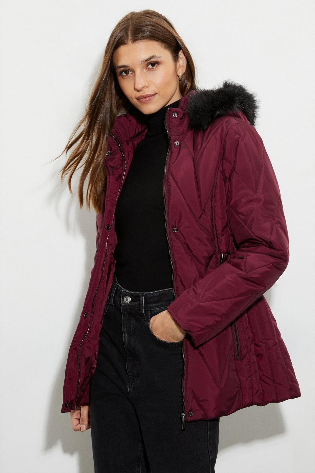 Berry Short Belted Quilted Padded Coat image number 1