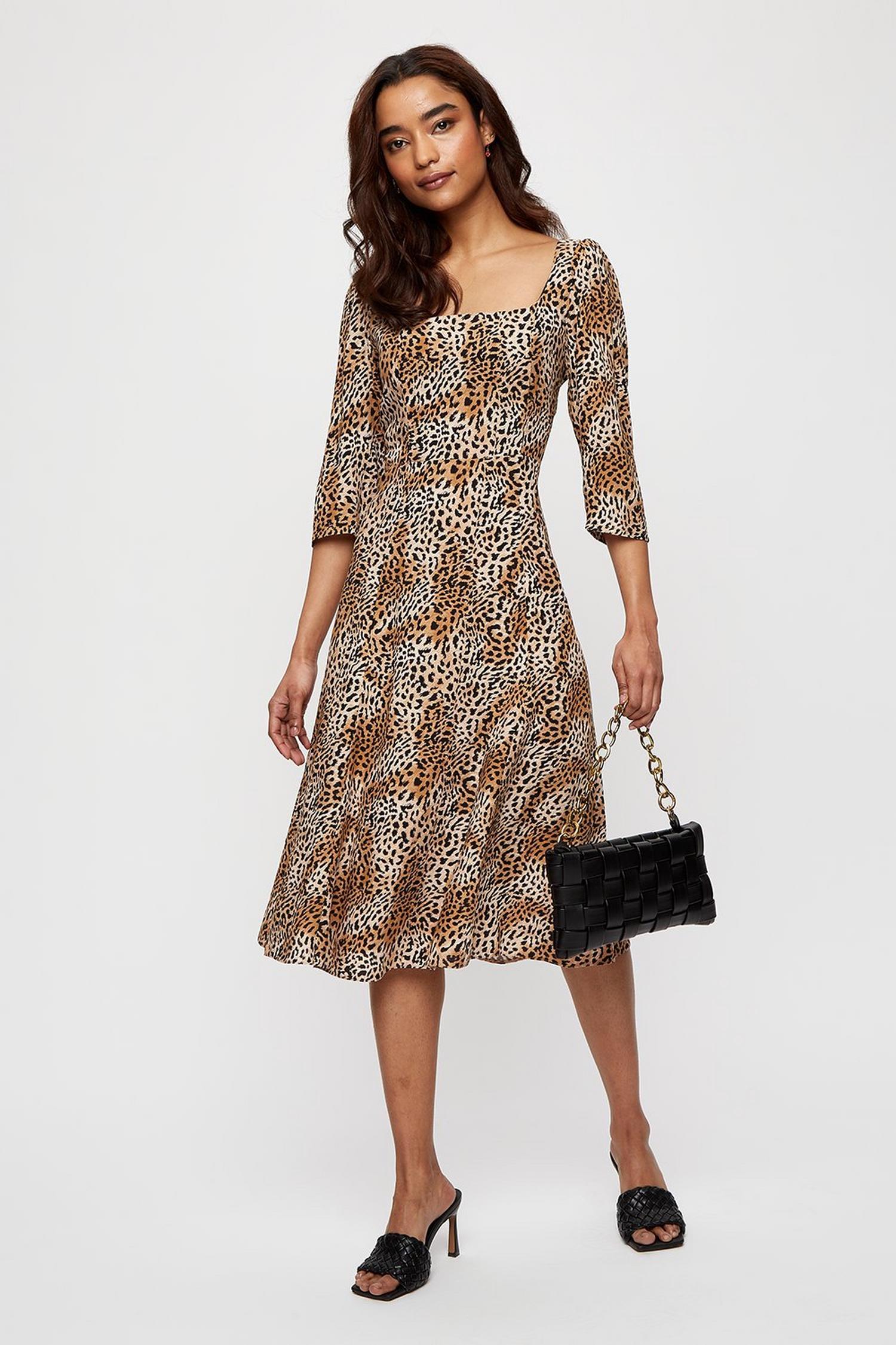 petite clothing dorothy perkins