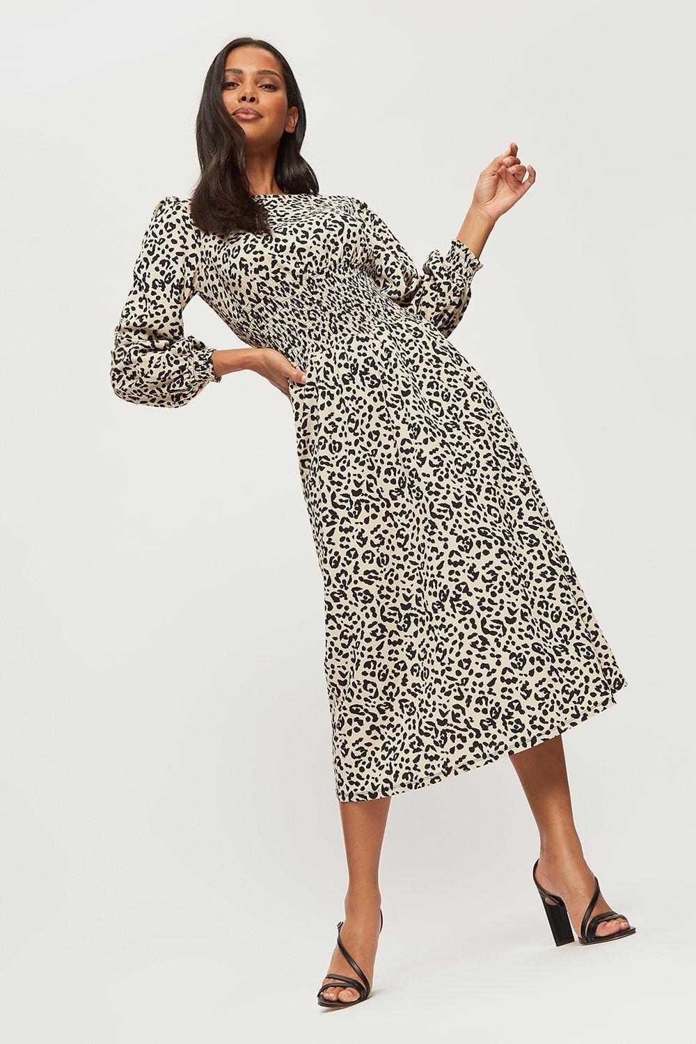 asos dorothy perkins dress