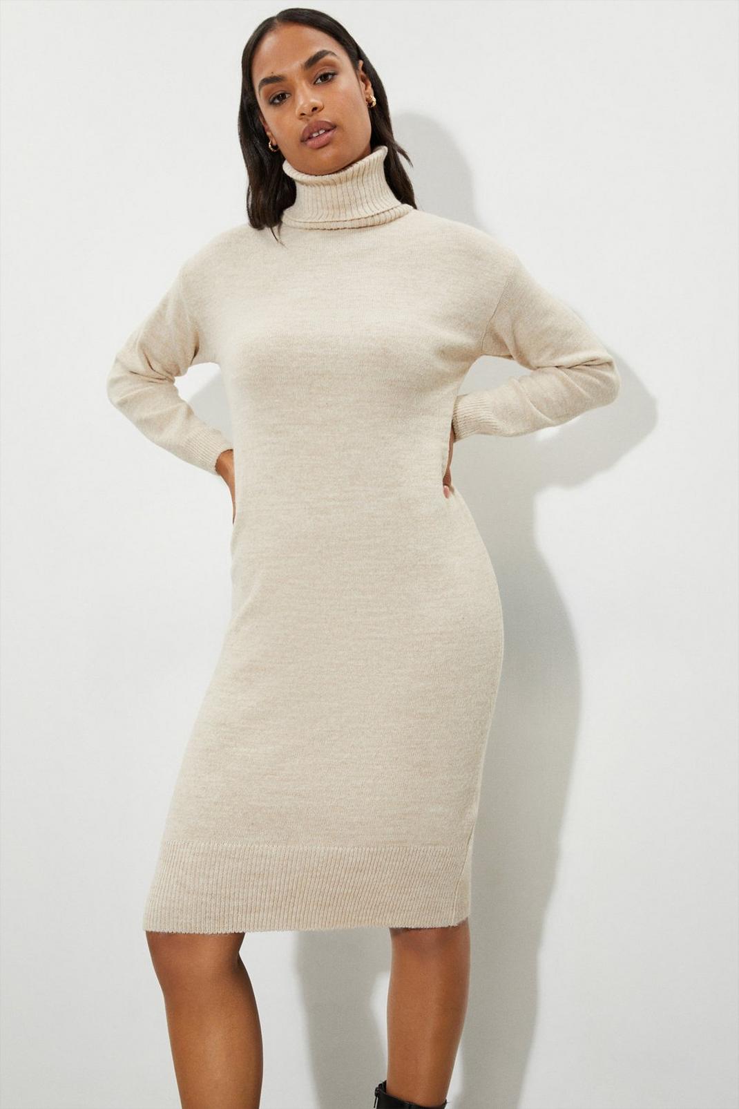 Oatmeal Roll Neck Dress image number 1