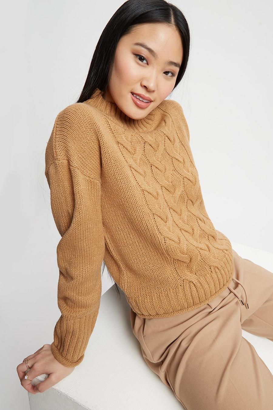 Petite Cable High Neck Jumper