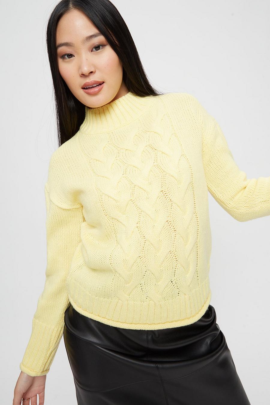 Petite Cable High Neck Jumper