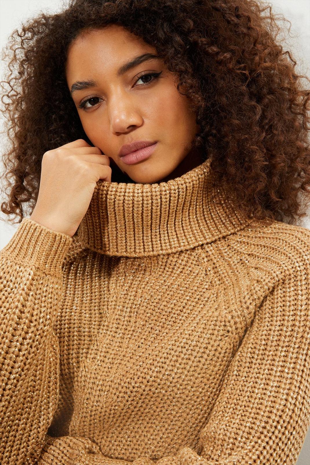 Neutral Chunky Roll Neck Glitter Jumper image number 1