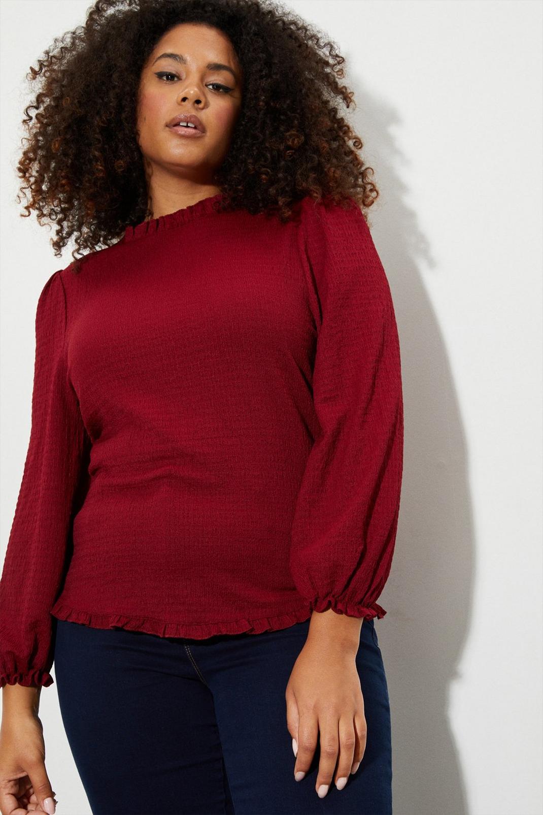 Berry Curve Shirred Cuff Textured Jersey Top image number 1