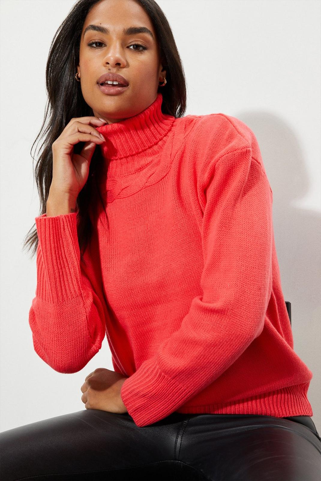 Red Cable Roll Neck Jumper image number 1